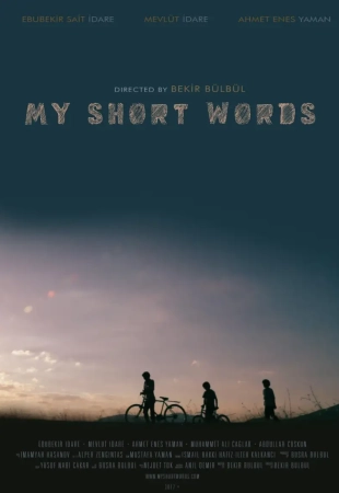 Мои короткие слова